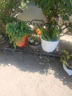 Everything is for sale!!! Open now!!!