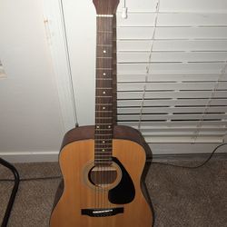 Acoustic Guitar 