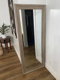 Mirror Tall 24x58