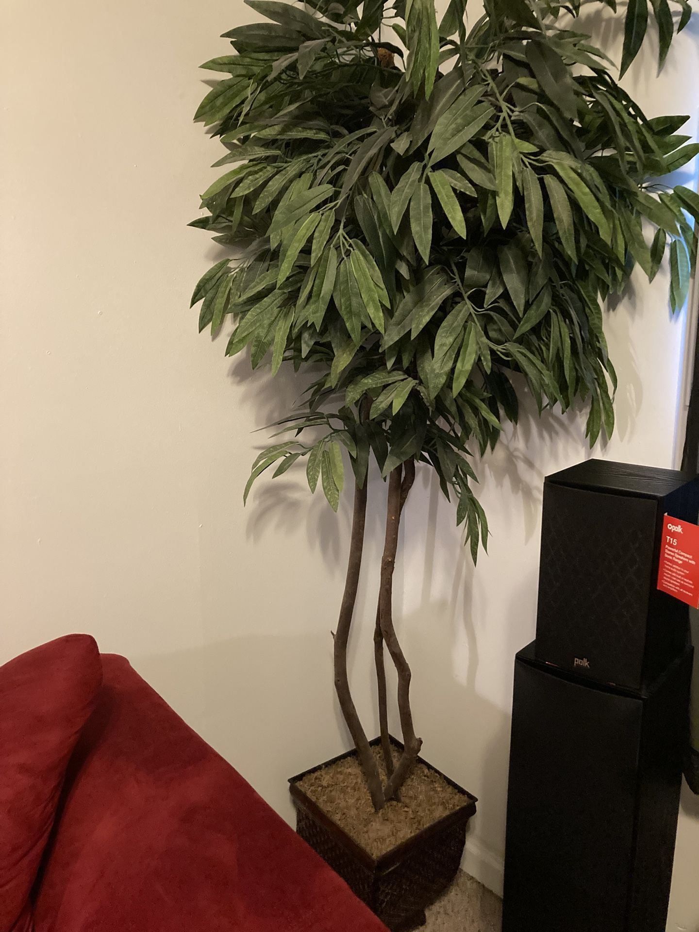 Artificial trees & things……