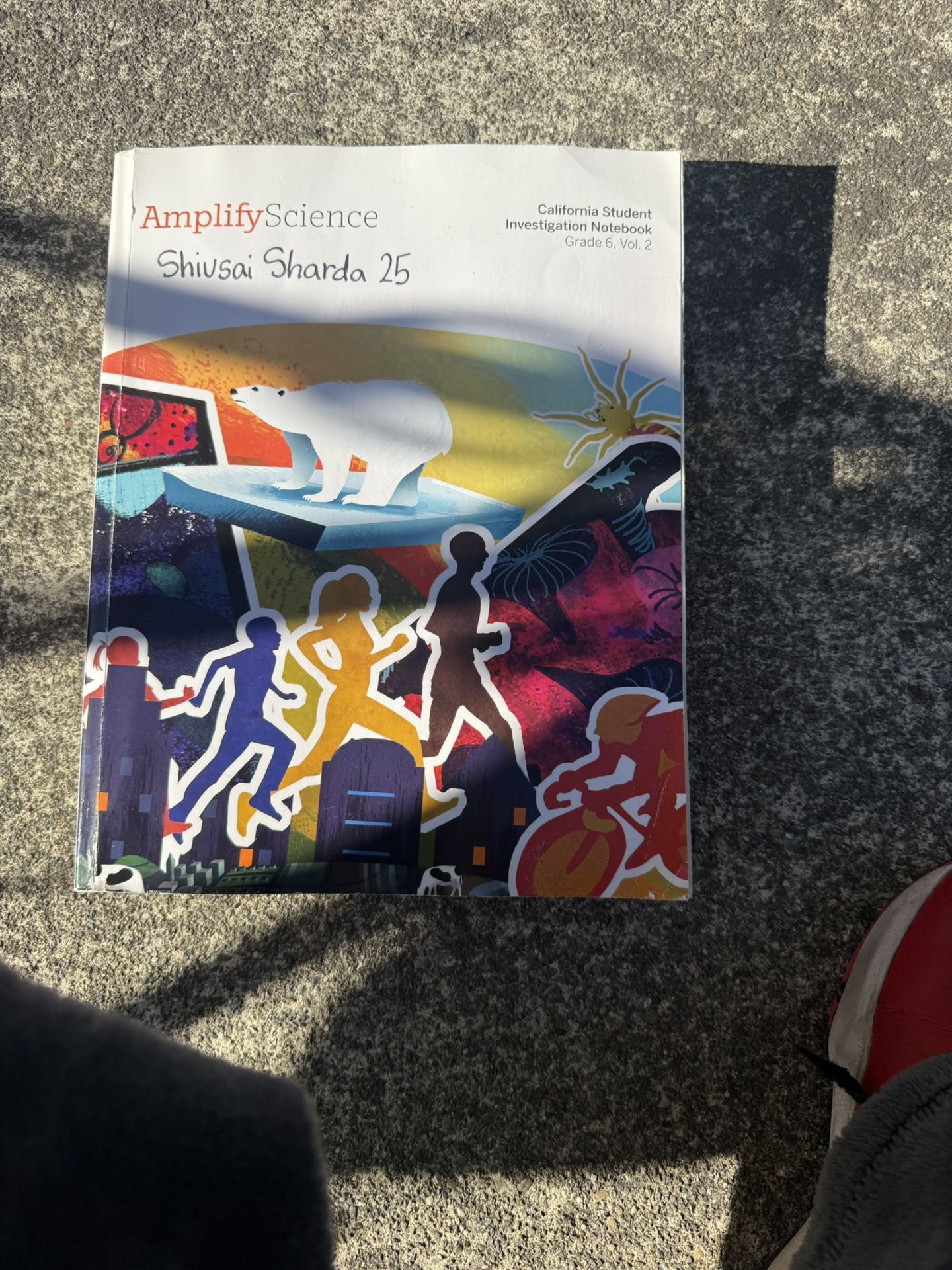 Almost New Super Educational Teachers Love This( Limited Price Deal)
