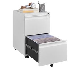 2 Drawer File Cabinet, Fully Assembled Locking Full Steel Filing Cabinet