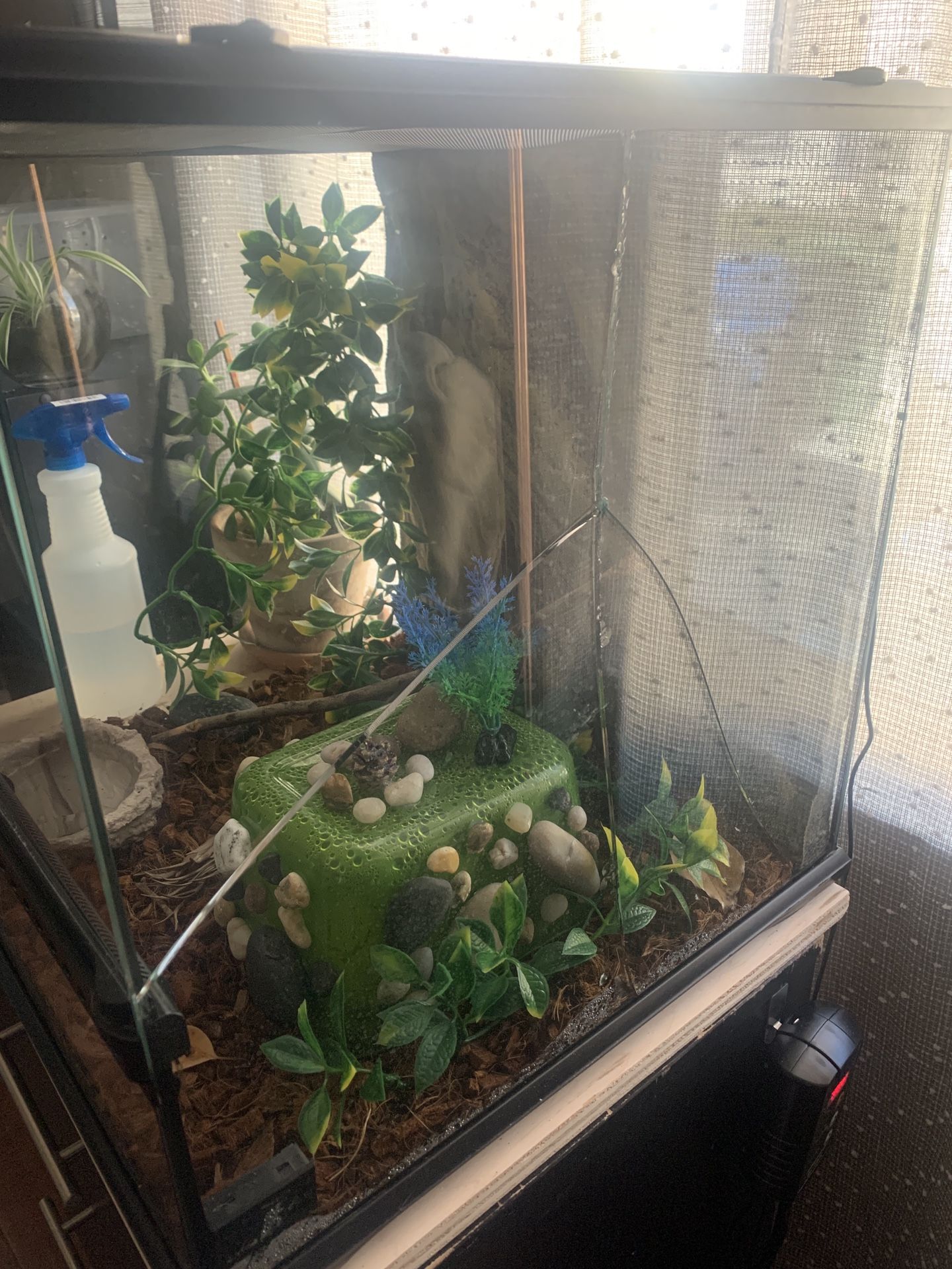 Exo Terra 18x18x18 Terrarium for Sale in Los Angeles, CA OfferUp