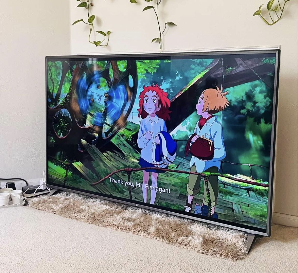 2019 75in LG Smart TV