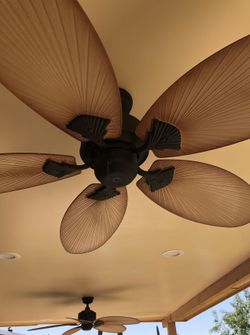 Fan/abanico