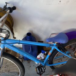 SE Bikes
