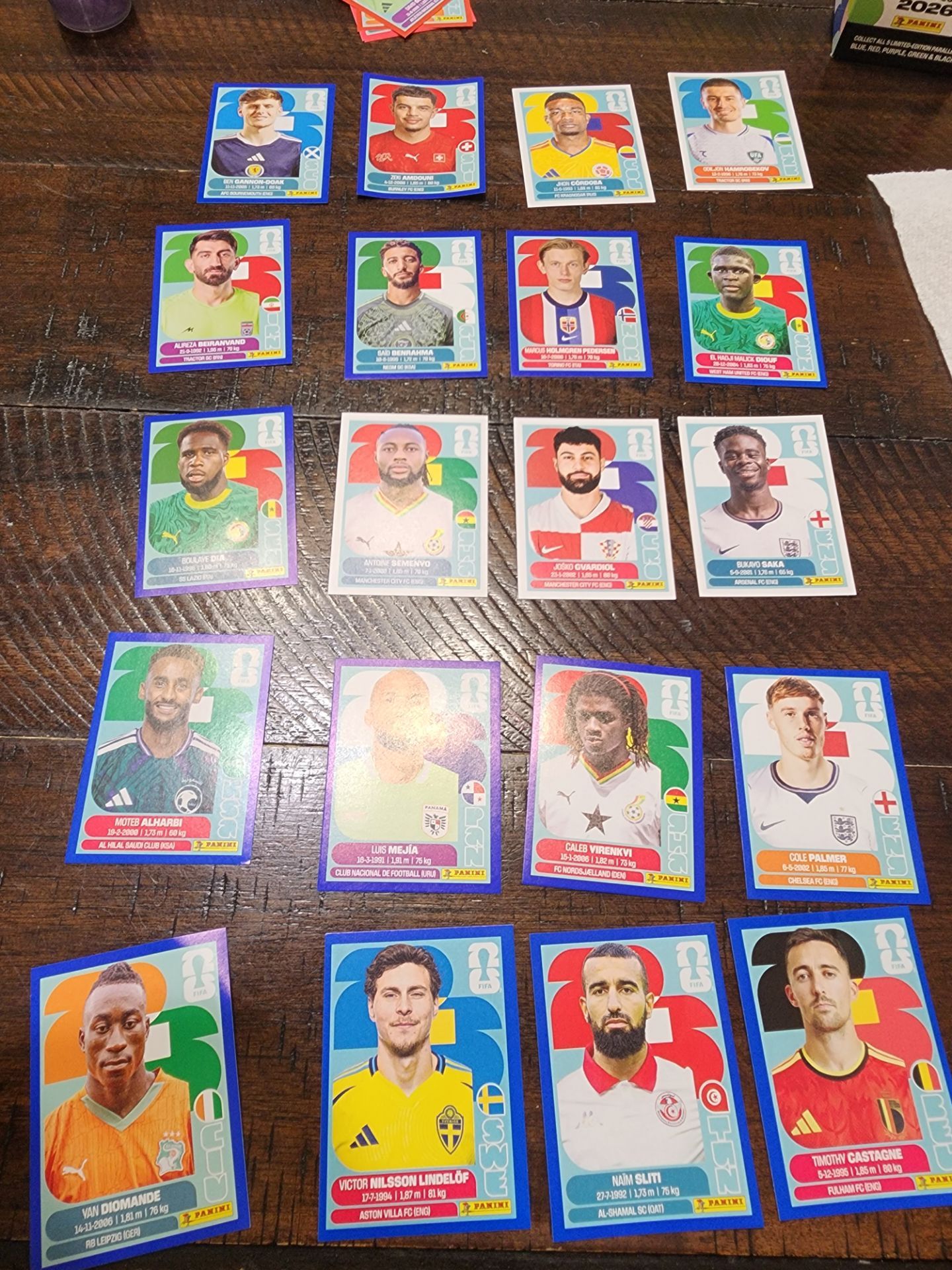 Panini world cup soccer stickers