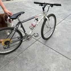 Miyata Mountain Bike 