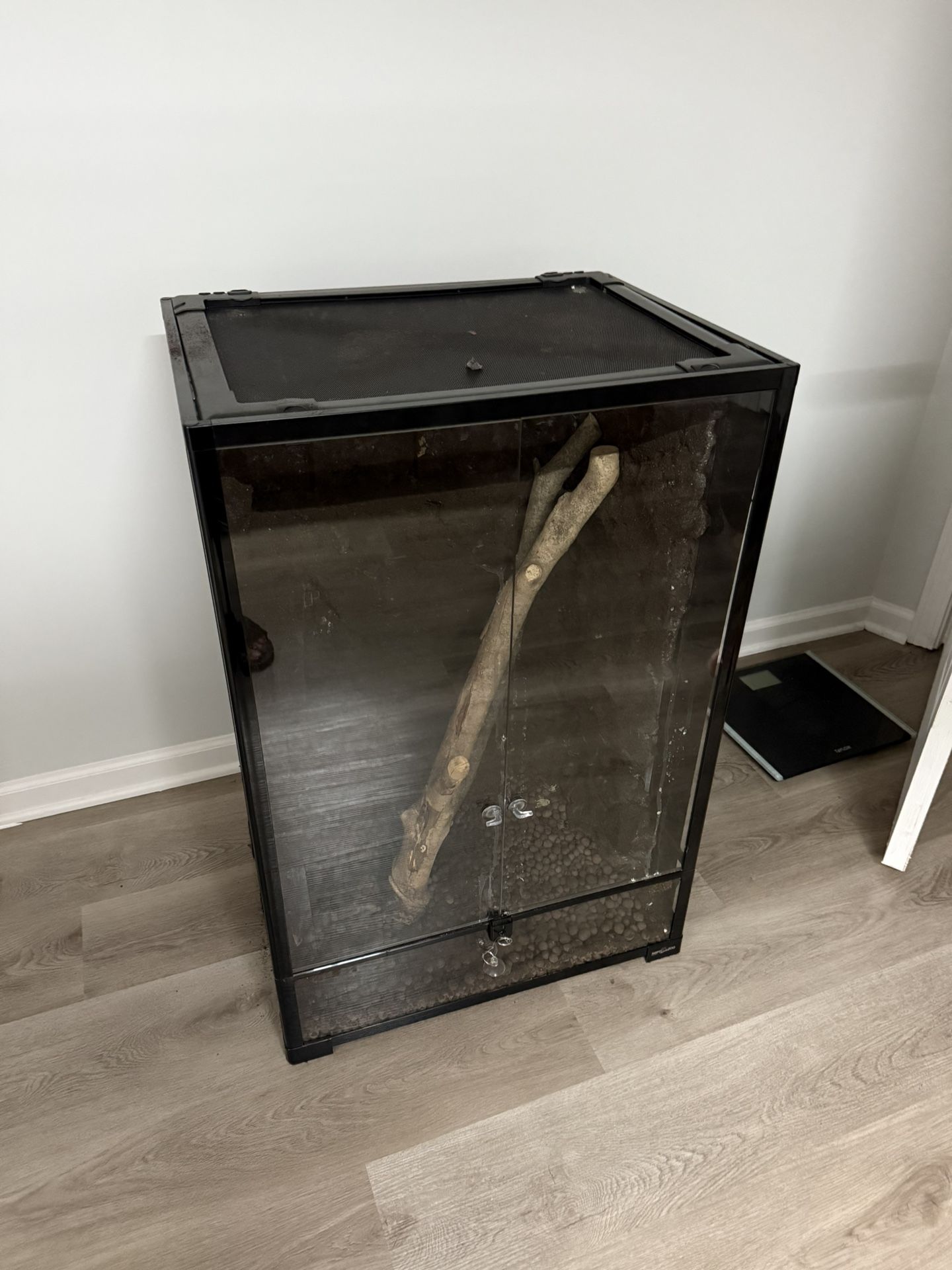 Reptile Tank