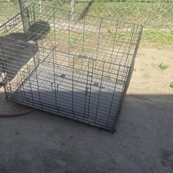 Animal cages