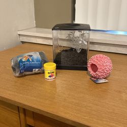 fish tank/decor