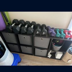 Free Weights / Dumbbells 