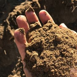 FREE DIRT