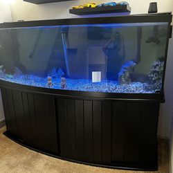 160 Gallon Fish Tank Set Up Aquarium