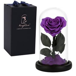 Forever Preserved Real Heart Rose Birthday Gifts for Women,Valentines Eternal Flower in Glass Gift for Valentine's Day Mothers Day Christmas Anniversa
