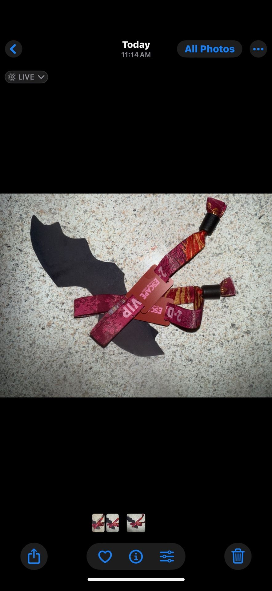 2 day VIP ESCAPE TICKET SATURDAY VIP VIP