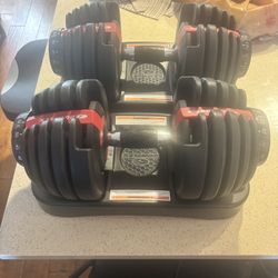 Bow flex Barbells 552 