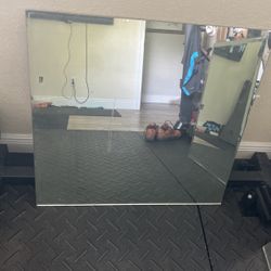 Mirror / Gym Mirror 