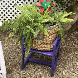 Vintage Child Chair & Fern
