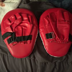 Boxing Pads