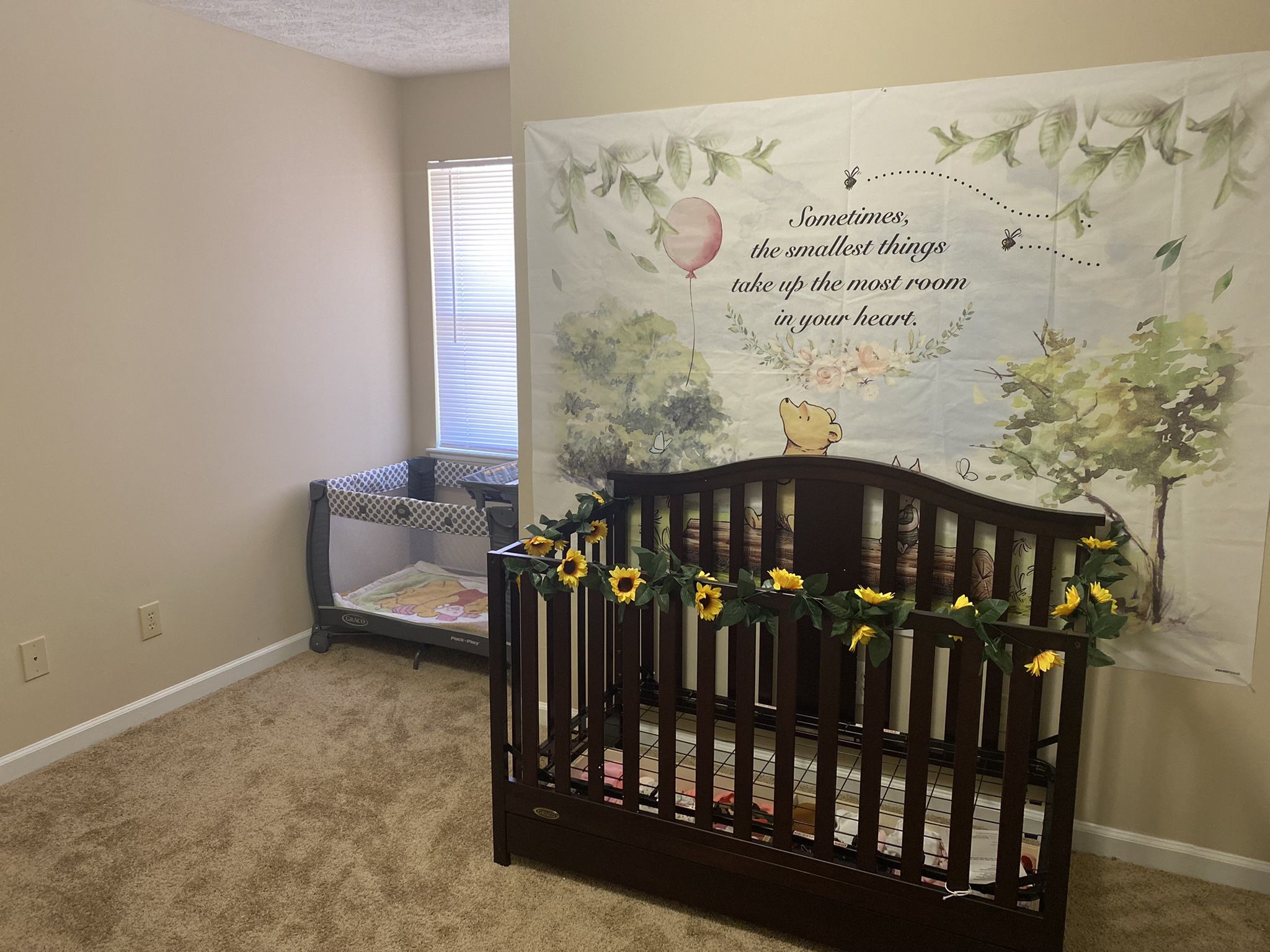 Baby Crib