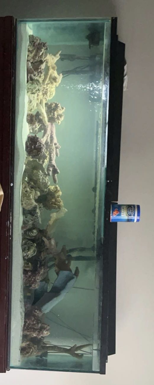 125 Gallon Aquarium