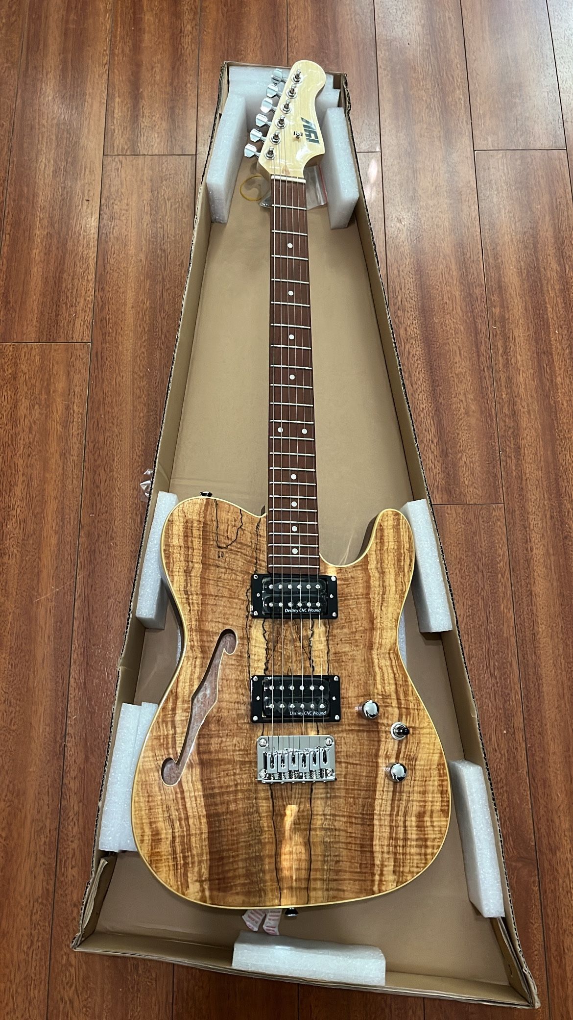 Electric Guitar
