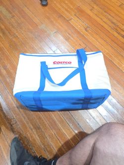 COSTCO insulated carrying bag
