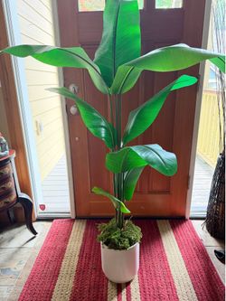 Artificial Banana Leaf Plant in White Pot H 64”