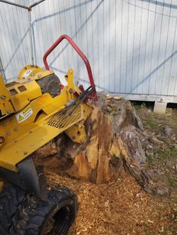 Stump grinding S3RV1CE