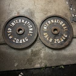 45 Pound Weight Plate Set