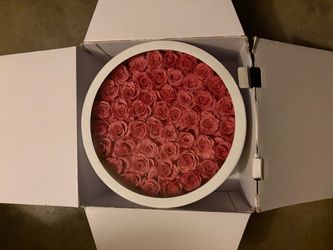 Special roses
