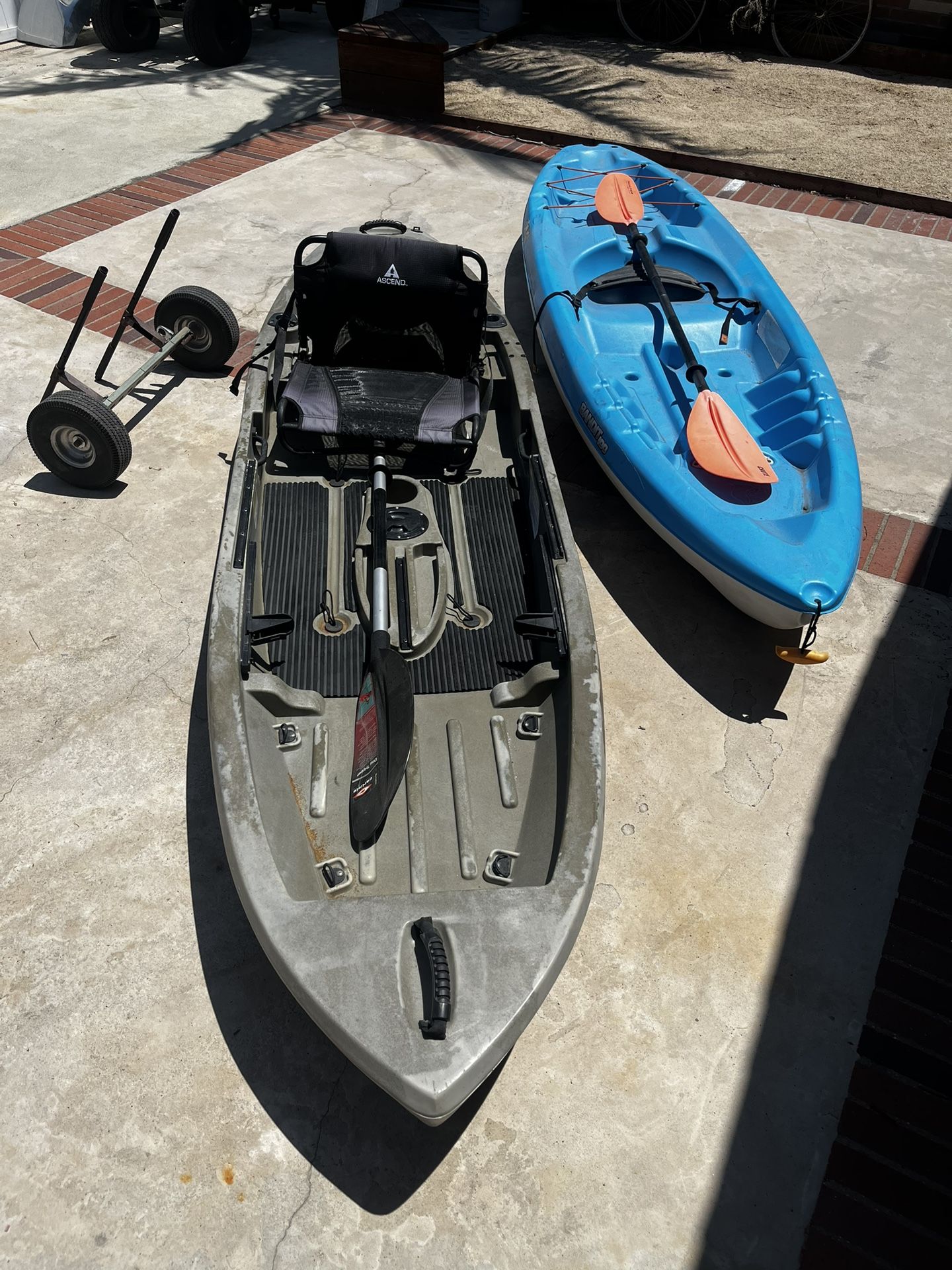 Kayaks With Paddles