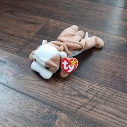Wrinkles Beanie Baby 