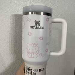 Hello Kitty Stanley 