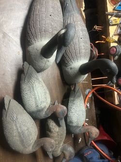Lot of assorted duck geese decoys hunting wildlife