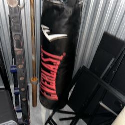 Everlast heavybag 
