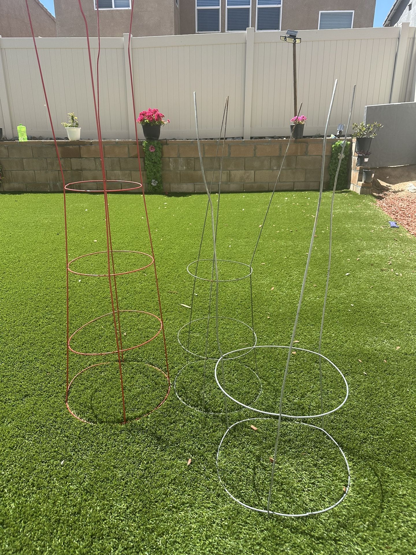 Tomatoes Cages