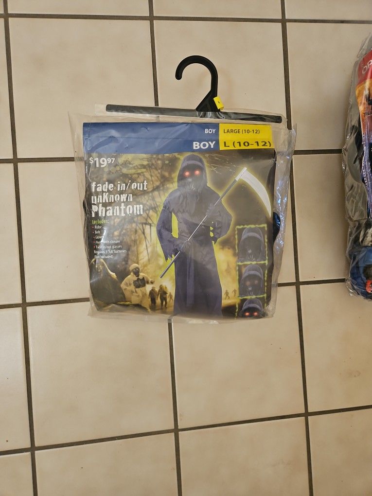 Halloween Costume π