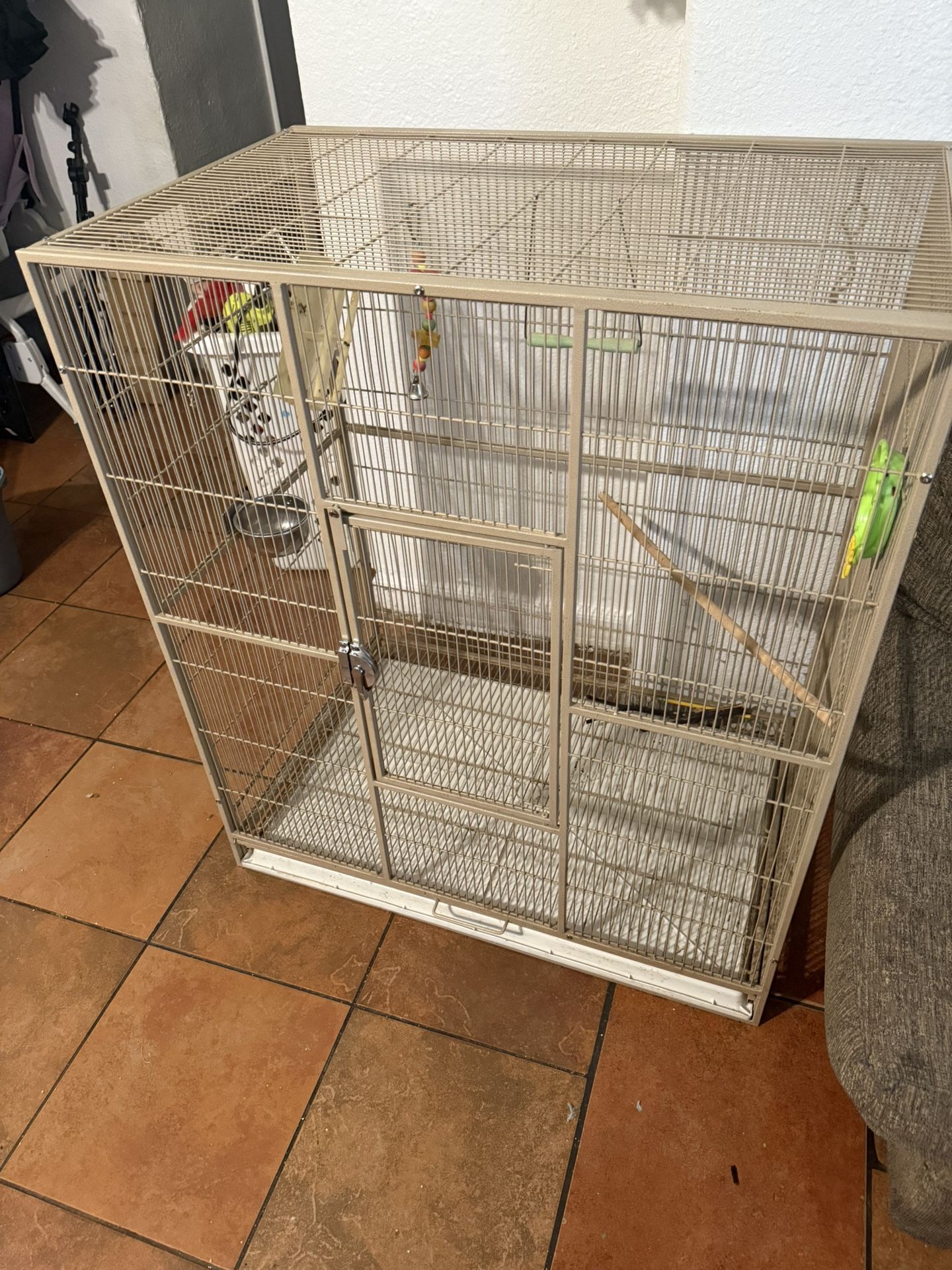 Bird Cage