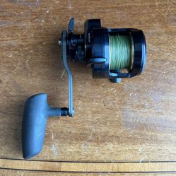 JDM Daiwa Saltiga 15HL-SJ Fishing Reel
