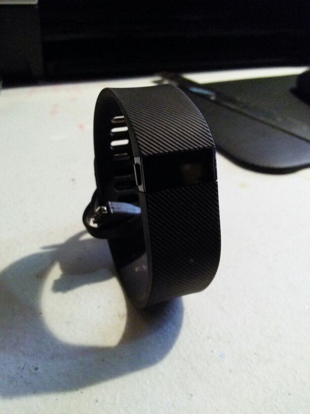 Large Fit Bit charge