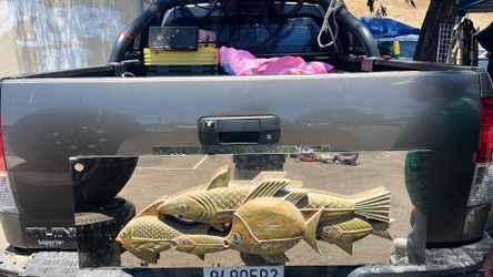 Fish