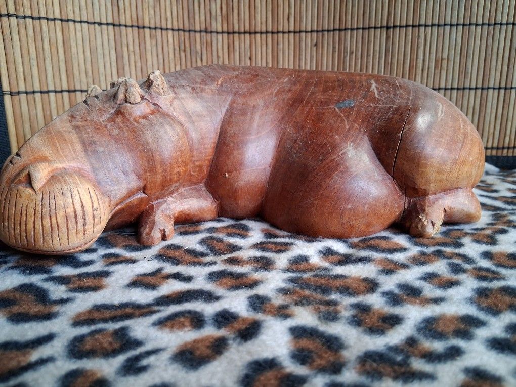 African Hipo