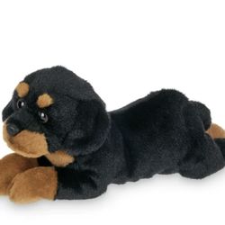 Real Live Puppies  Rottweiler  DM For Pic 