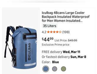 Ice Cooler Backpack $20