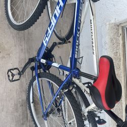 2 Bikes Flat Tires 