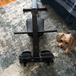 IHomey Foldable Rowing Machine   FREE