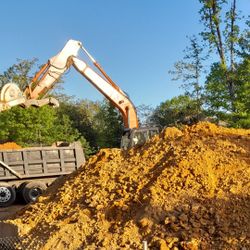 Tons of Dirt !!  100% Free
