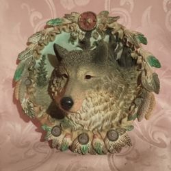 Beautiful Wolf Picture 